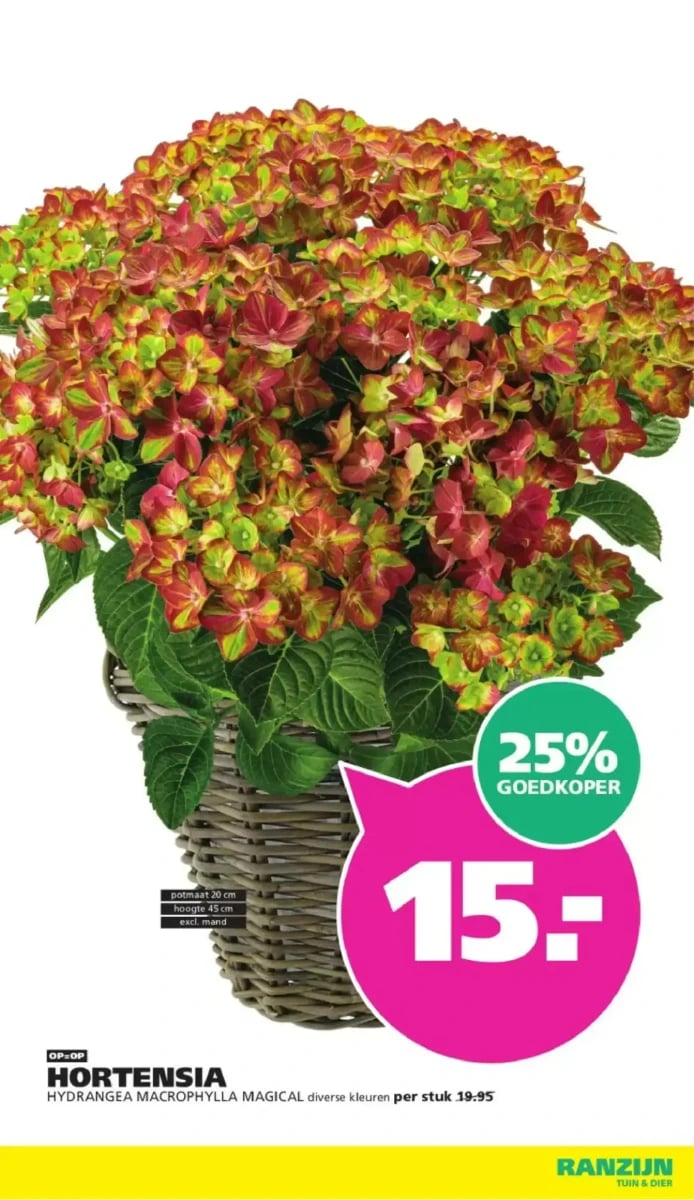 Ranzijn folder – pagina 12