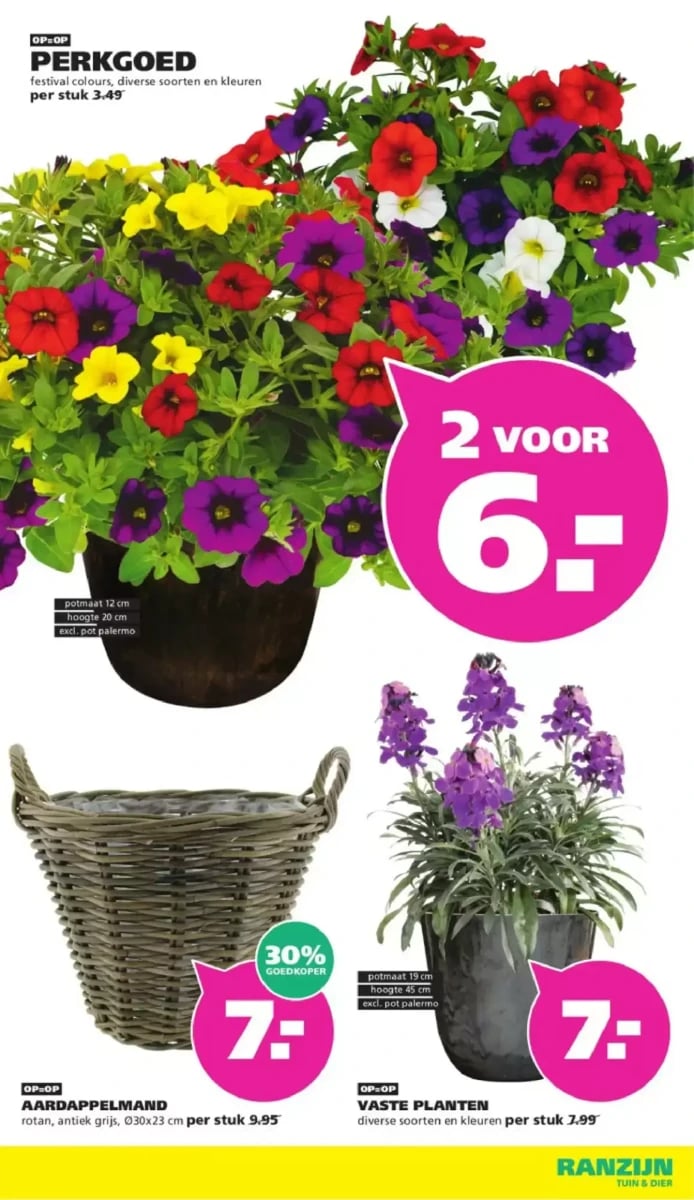 Ranzijn folder – pagina 13