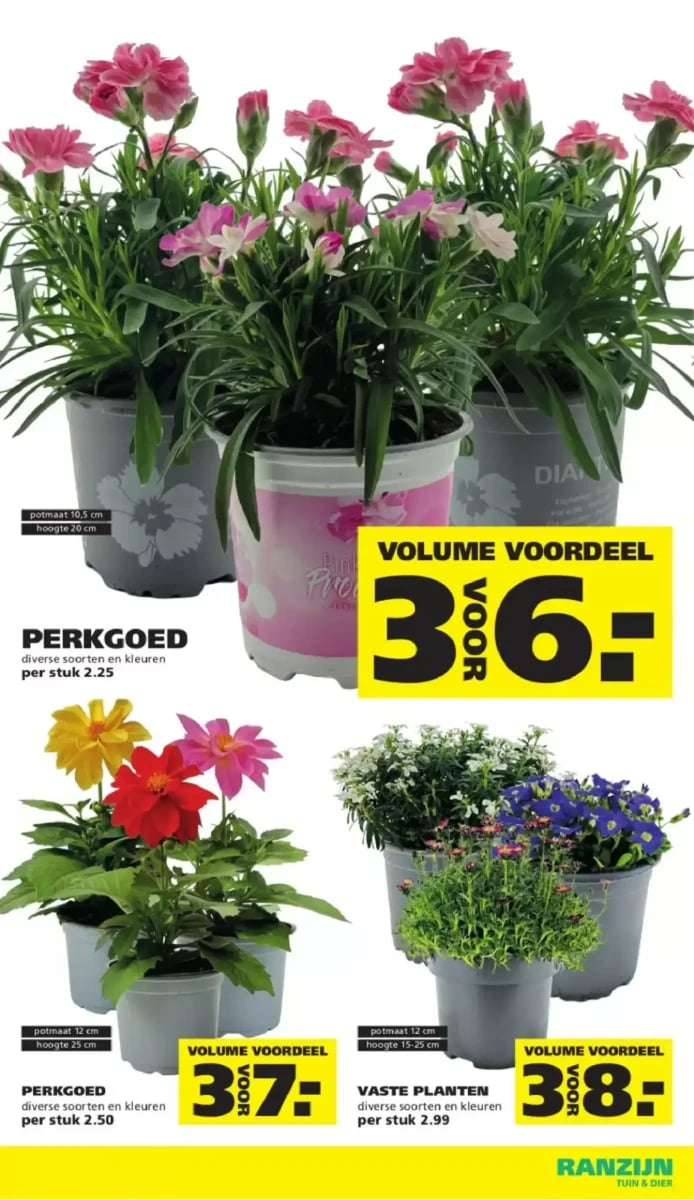 Ranzijn folder – pagina 16
