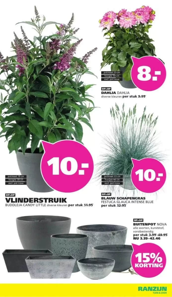 Ranzijn folder – pagina 13