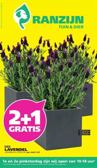 Ranzijn Folder – 17.05.2026 – 30.05.2026
