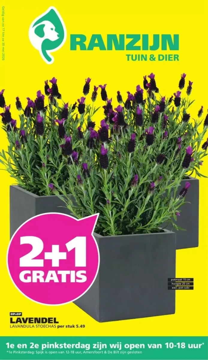Ranzijn folder – pagina 1
