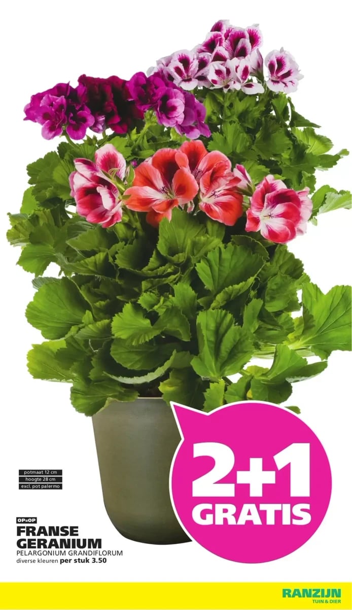 Ranzijn folder – pagina 9
