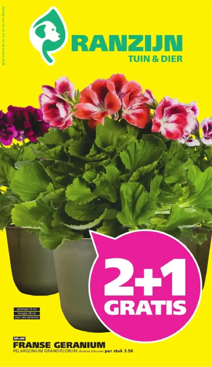 Ranzijn folder – pagina 1