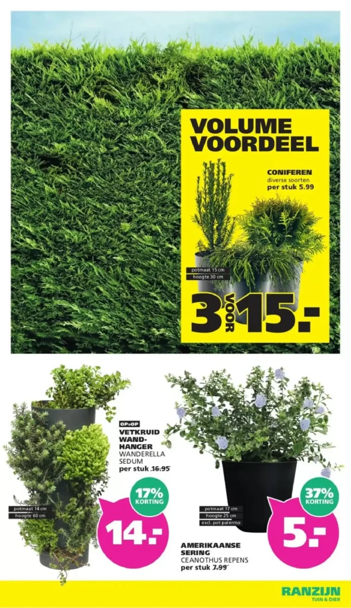 Ranzijn folder – pagina 5