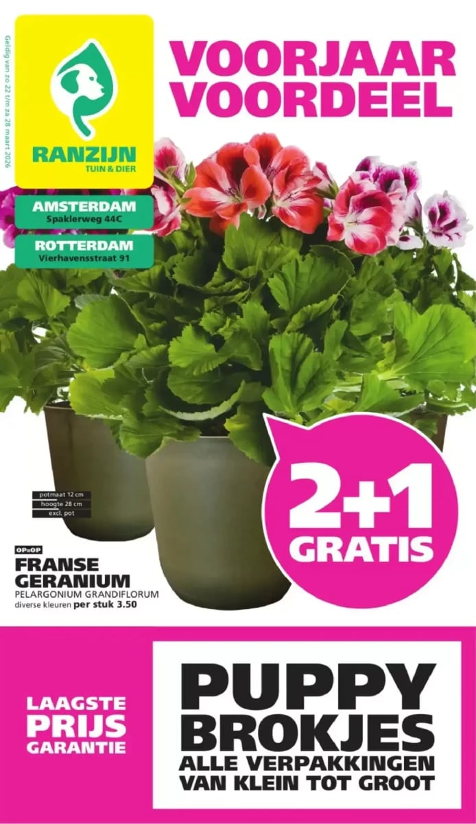 Ranzijn folder – pagina 1