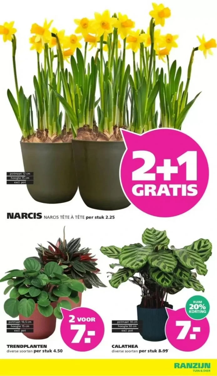 Ranzijn folder – pagina 7