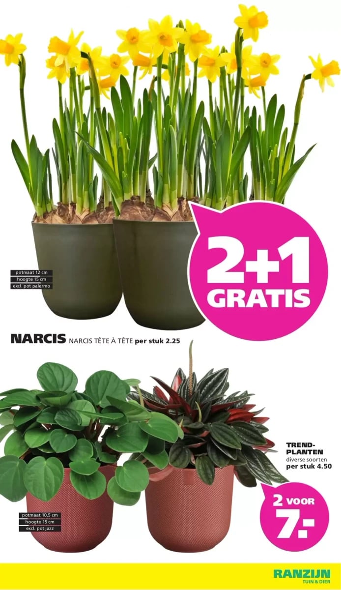 Ranzijn folder – pagina 9