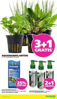 AQUARIUMPLANTEN aanbieding bij Ranzijn – geldig van 25.01.2026 t/m 07.02.2026