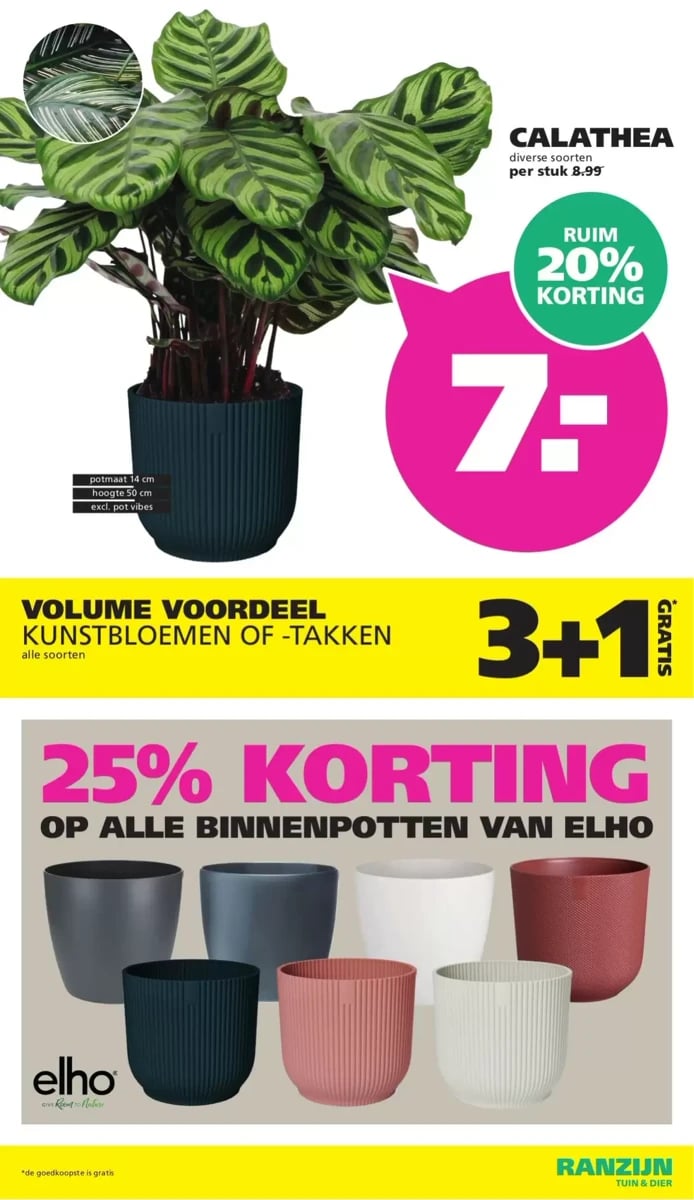 Ranzijn folder – pagina 11