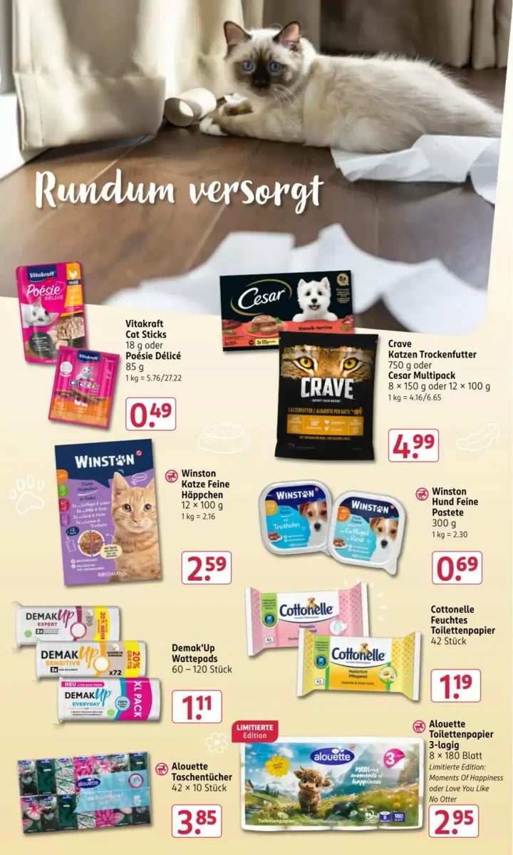 Rossmann folder – pagina 17