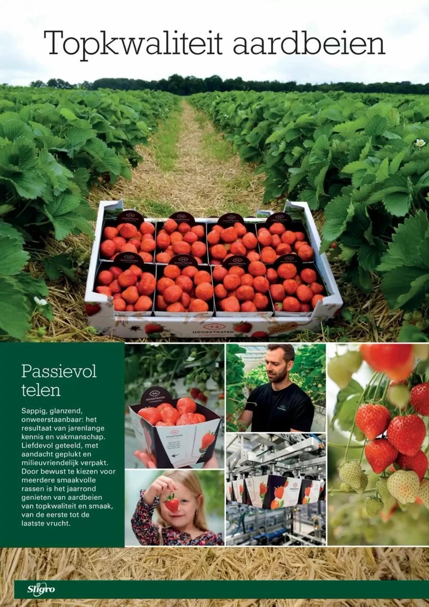 Sligro folder – pagina 64