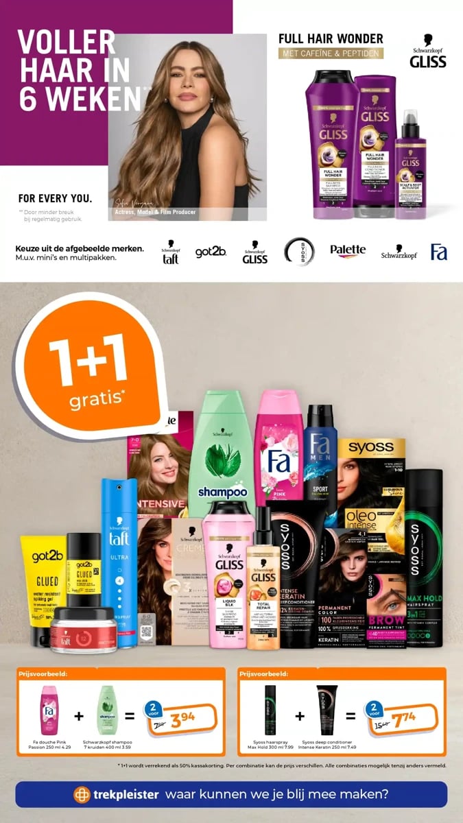 Trekpleister folder – pagina 65