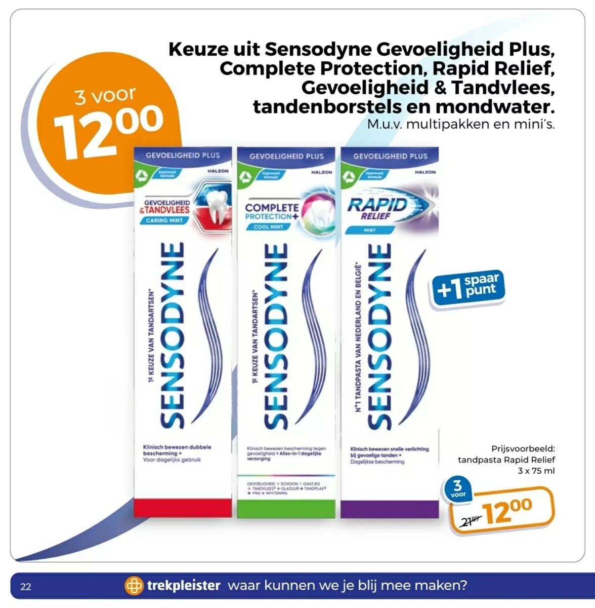 Trekpleister folder – pagina 22
