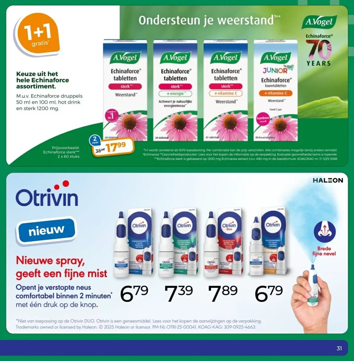 Trekpleister folder – pagina 31