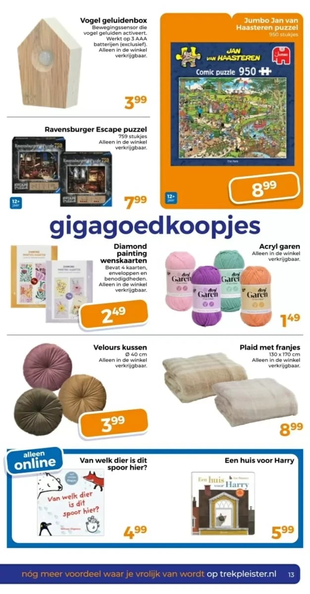 Trekpleister folder – pagina 13