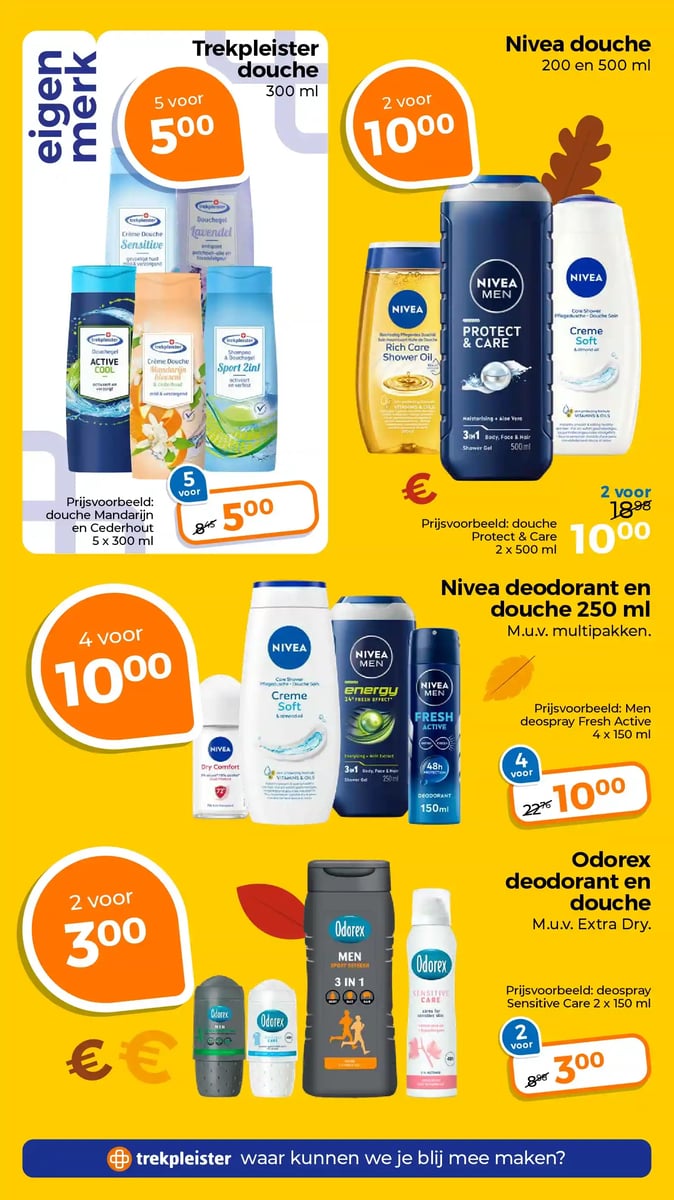 Trekpleister folder – pagina 12