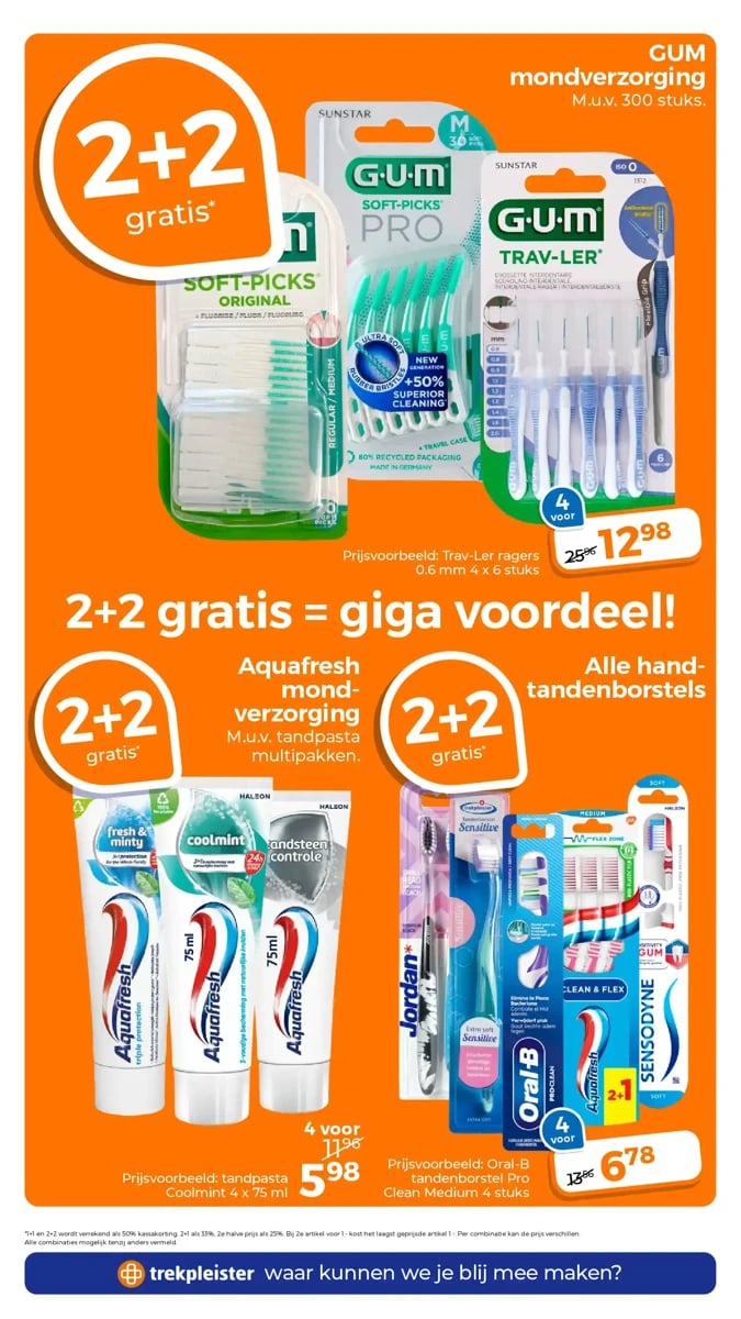 Trekpleister folder – pagina 13