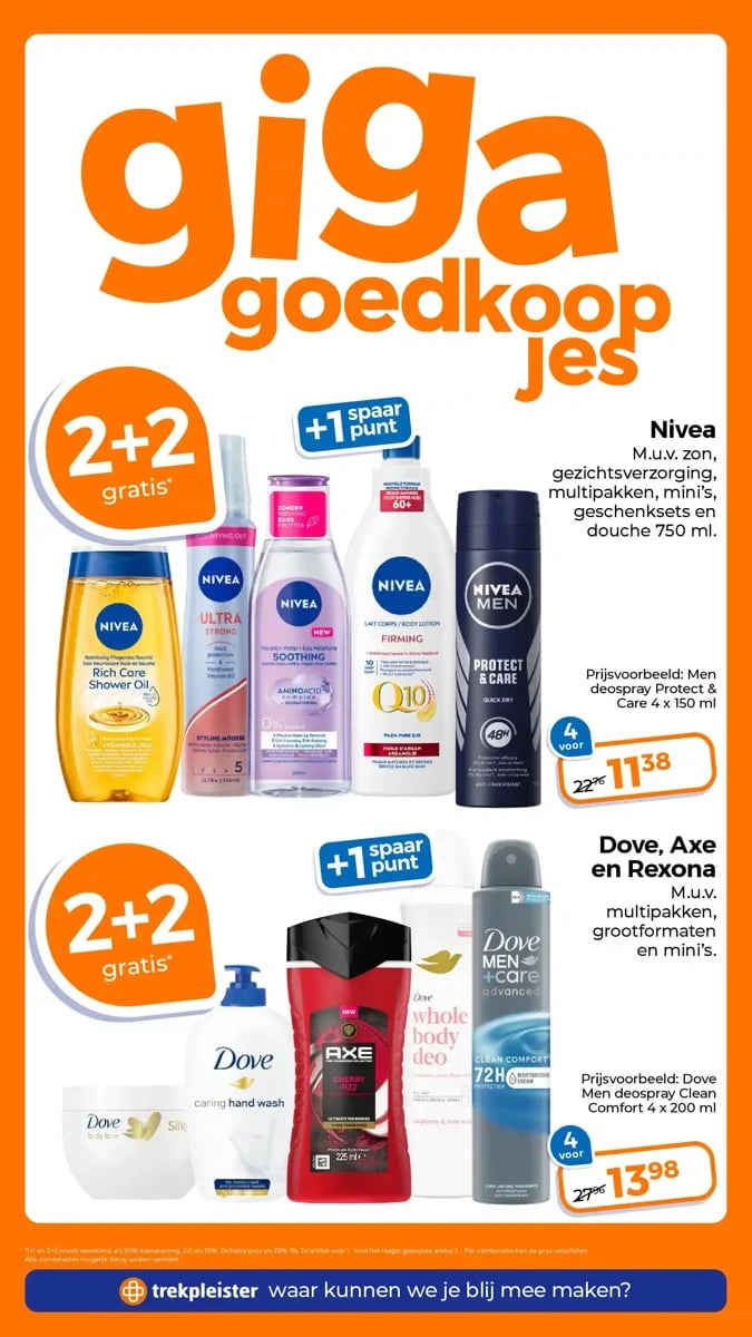 Trekpleister folder – pagina 12