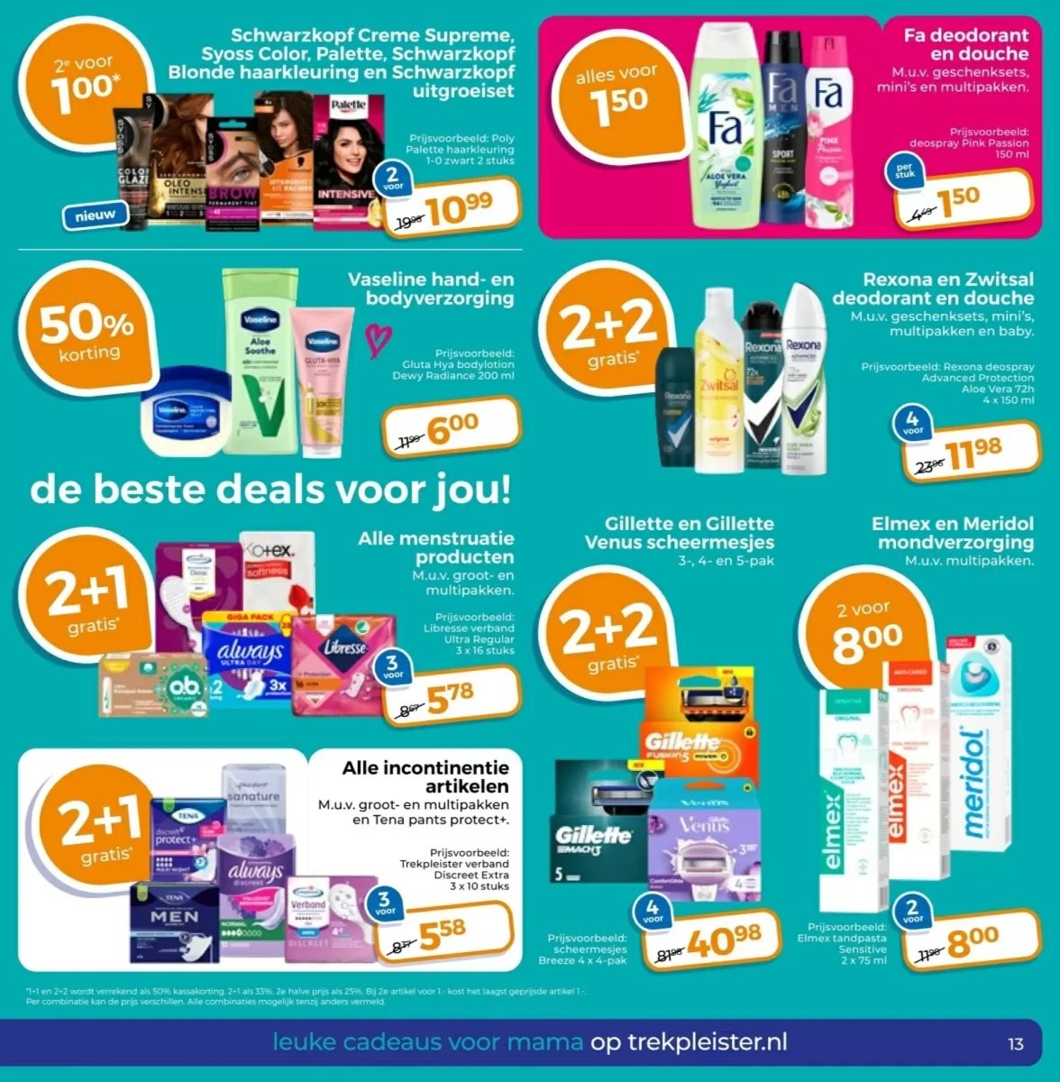 Trekpleister folder – pagina 13