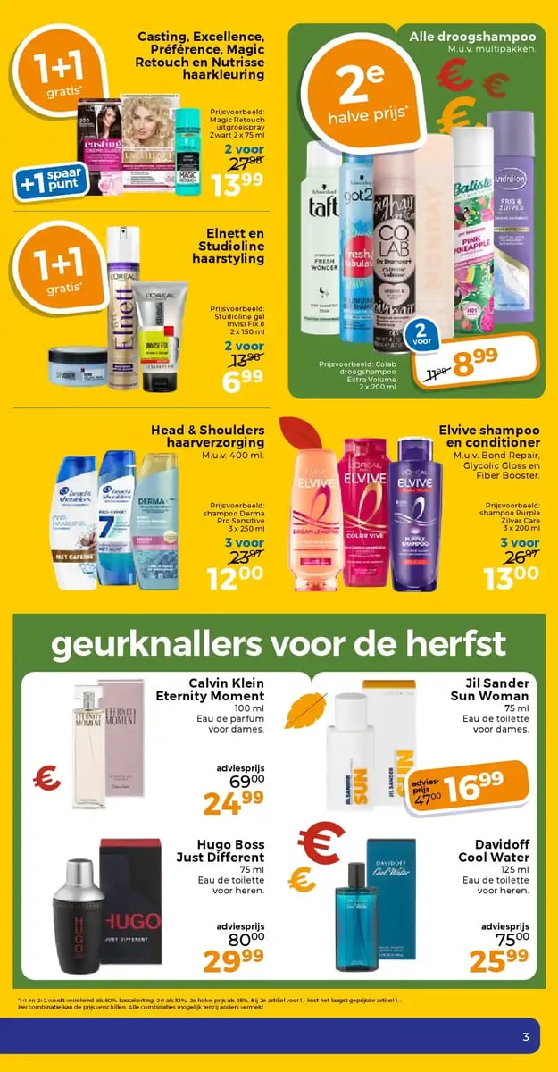 Trekpleister folder – pagina 13