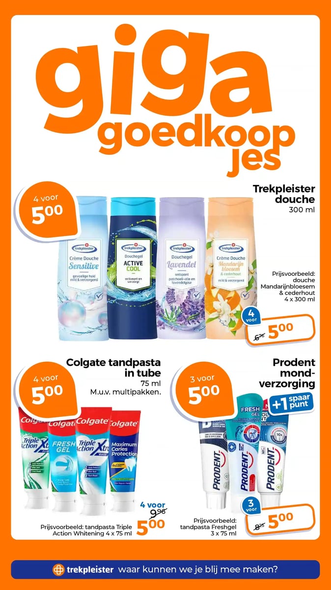 Trekpleister folder – pagina 13