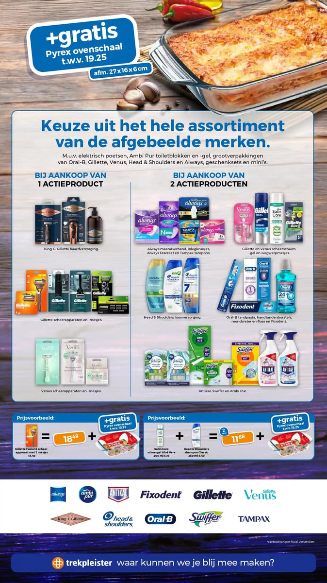 Trekpleister folder – pagina 2