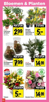 Catpalm aanbieding bij Vomar – geldig van 01.02.2026 t/m 07.02.2026