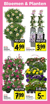 Clematis Mix aanbieding bij Vomar – geldig van 05.04.2026 t/m 11.04.2026