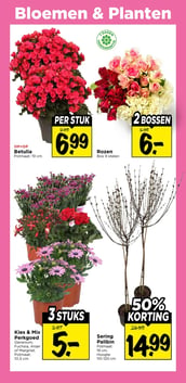 Betulia aanbieding bij Vomar – geldig van 05.04.2026 t/m 11.04.2026