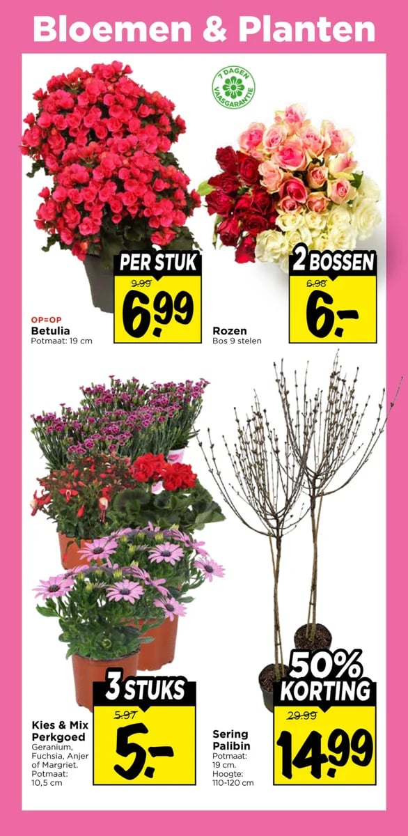 Vomar folder – pagina 29