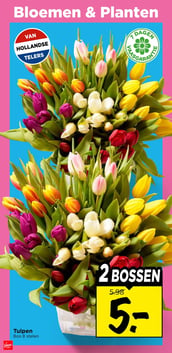 Tulpen aanbieding bij Vomar – geldig van 08.03.2026 t/m 14.03.2026