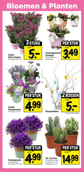 XL Cactus aanbieding bij Vomar – geldig van 08.03.2026 t/m 14.03.2026