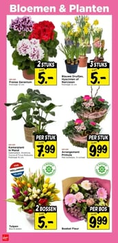 Tulpen aanbieding bij Vomar – geldig van 15.02.2026 t/m 21.02.2026