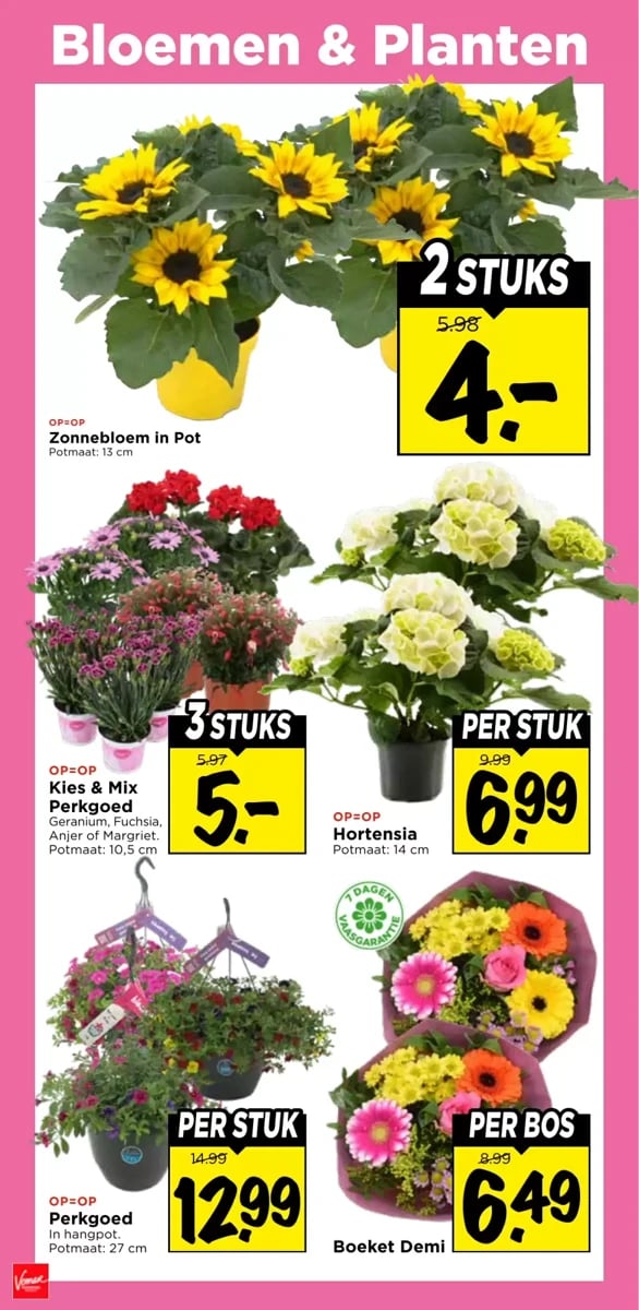 Vomar folder – pagina 28