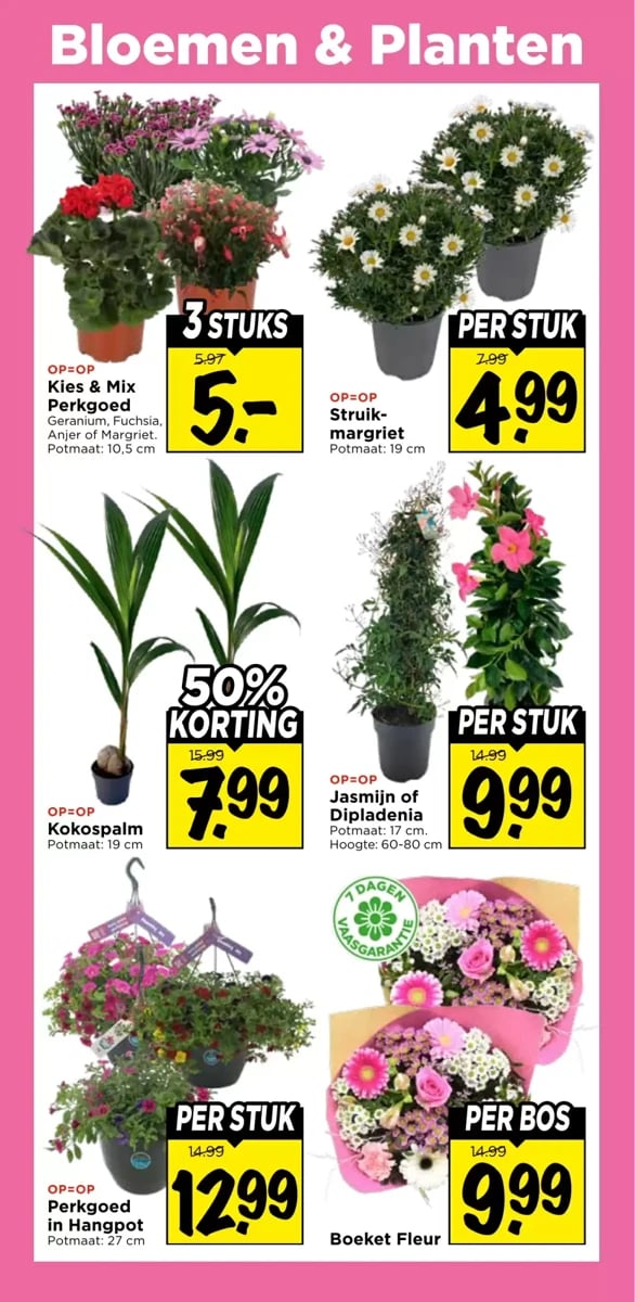 Vomar folder – pagina 29
