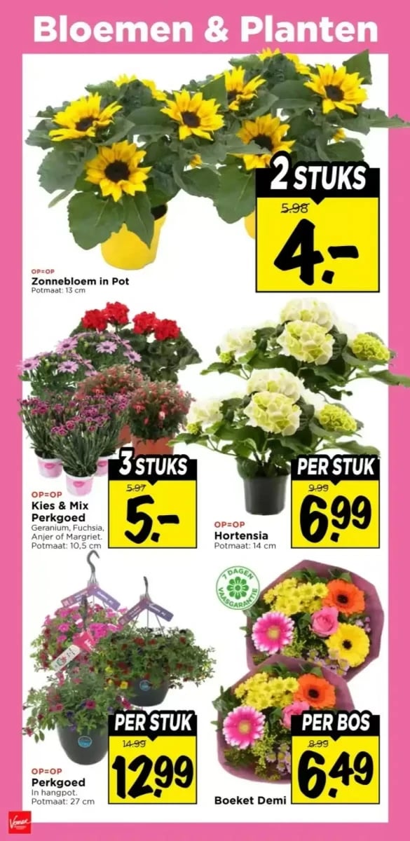 Vomar folder – pagina 36