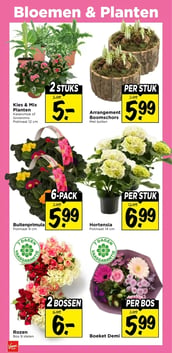 Boeket Demi aanbieding bij Vomar – geldig van 25.01.2026 t/m 31.01.2026