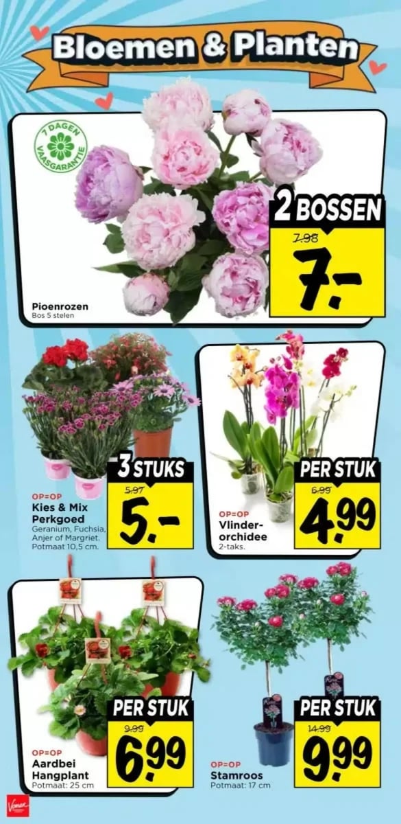 Vomar folder – pagina 33