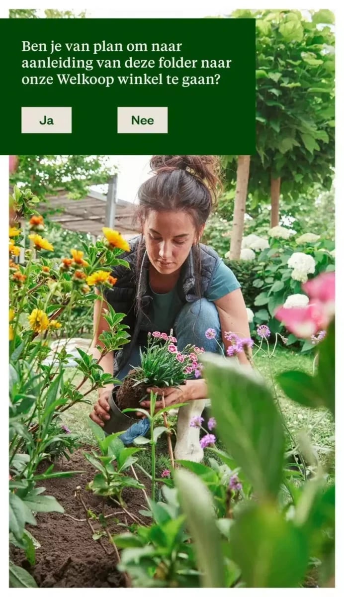 Welkoop folder – pagina 43