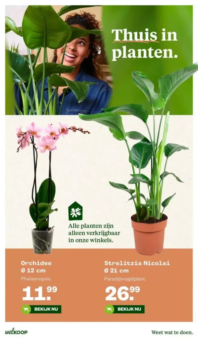 Welkoop folder – pagina 33