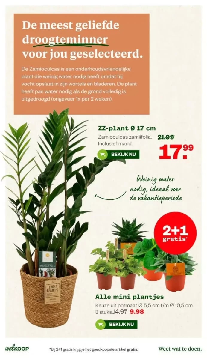 Welkoop folder – pagina 32