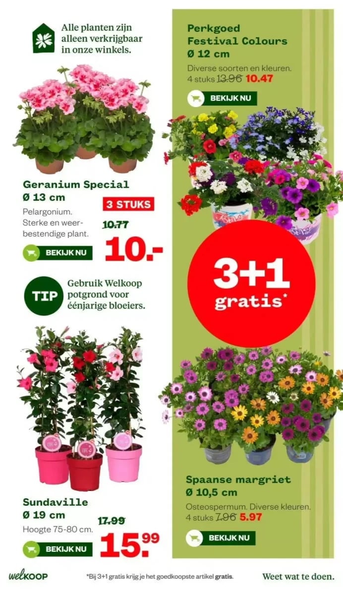 Welkoop folder – pagina 30