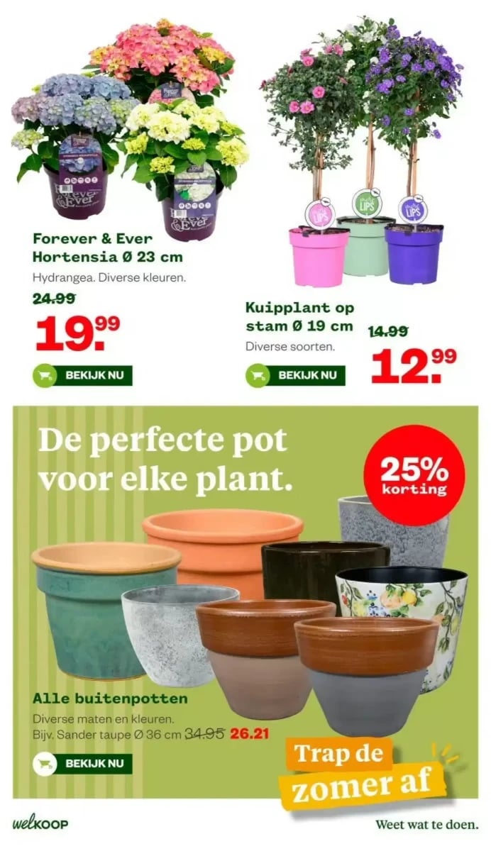 Welkoop folder – pagina 29
