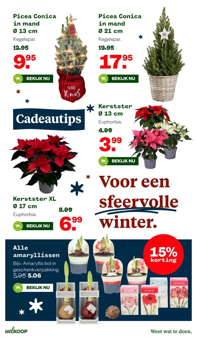 Welkoop folder – pagina 13