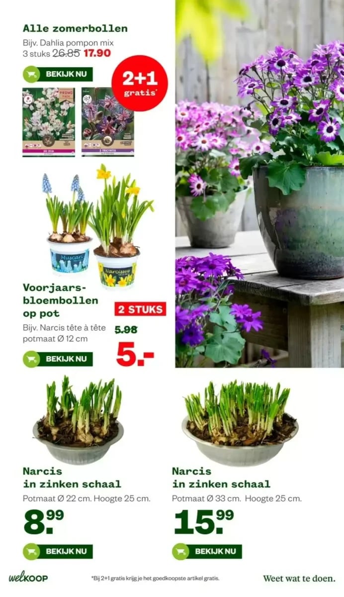 Welkoop folder – pagina 15