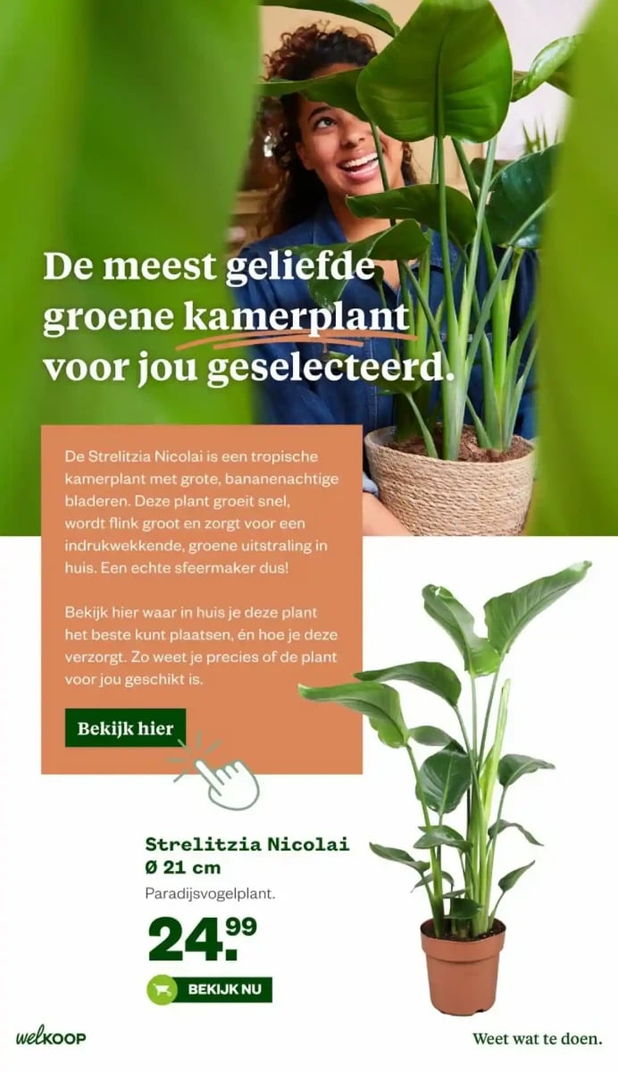 Welkoop folder – pagina 5
