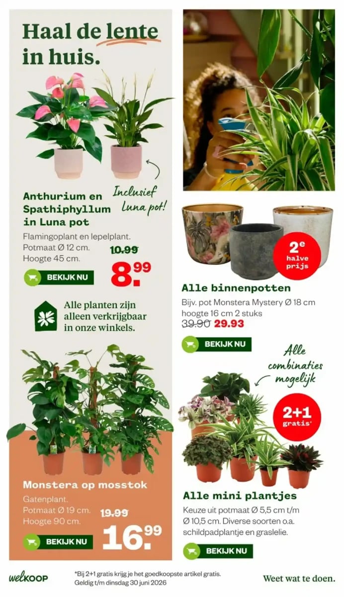 Welkoop folder – pagina 6