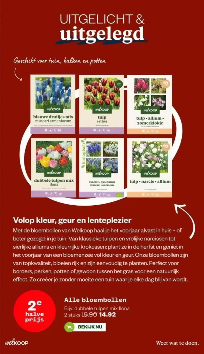 Welkoop folder – pagina 33