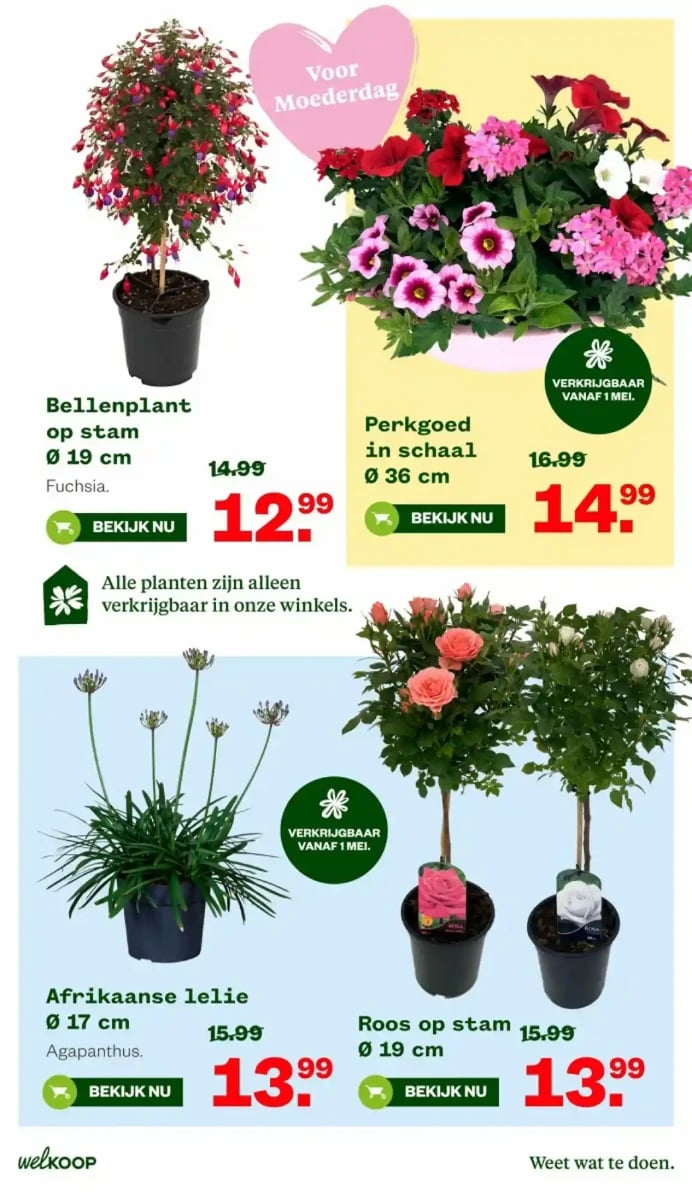 Welkoop folder – pagina 3
